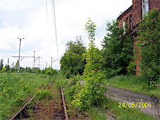 min 20 71.jpg
